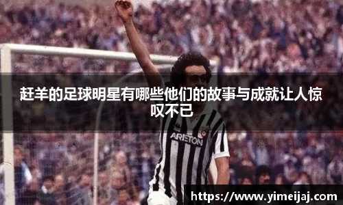 赶羊的足球明星有哪些他们的故事与成就让人惊叹不已